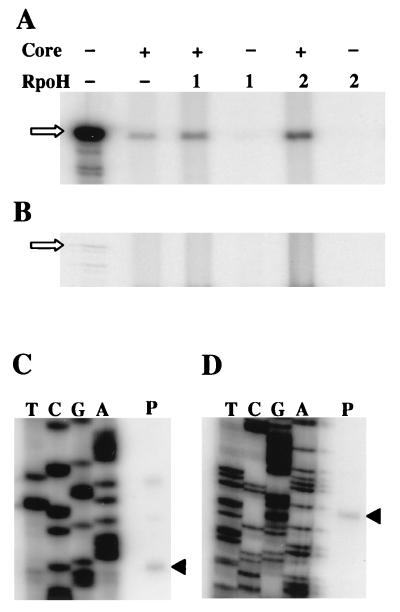 FIG. 6