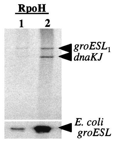 FIG. 8