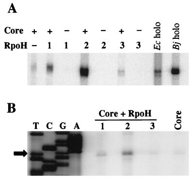 FIG. 5