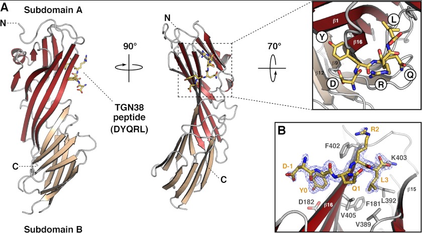 FIGURE 1.