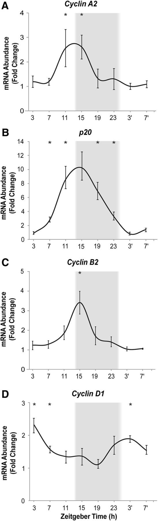 Figure 4.