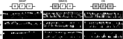 Fig. 4.