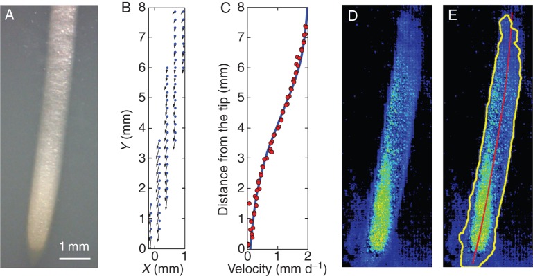 Fig. 2.