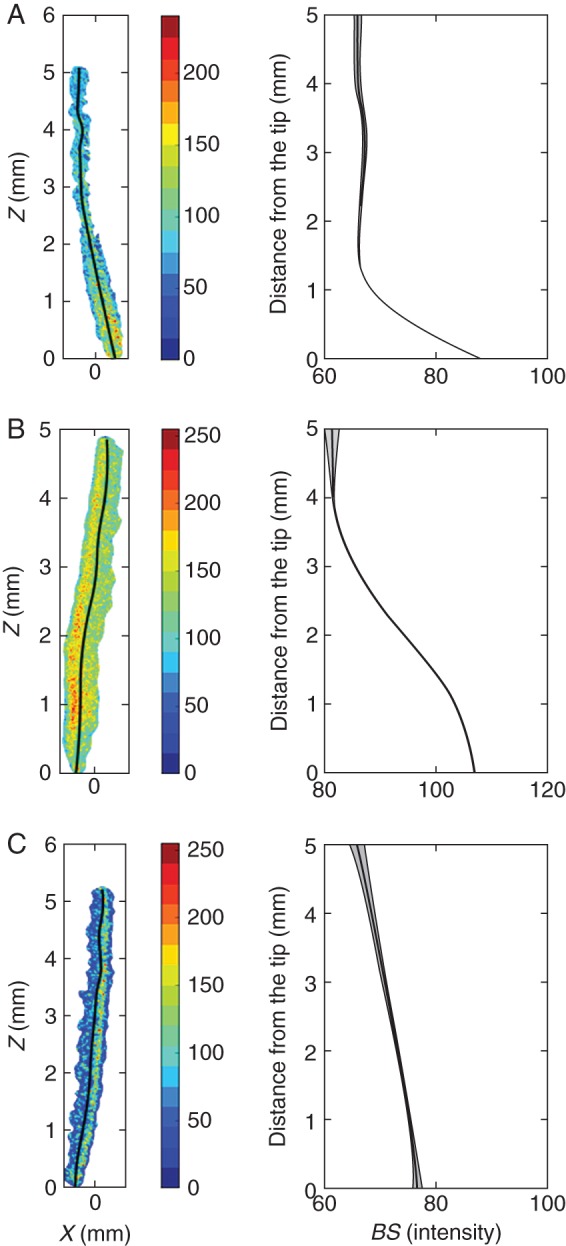 Fig. 3.