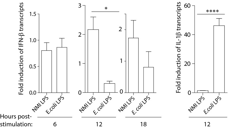 FIG 6