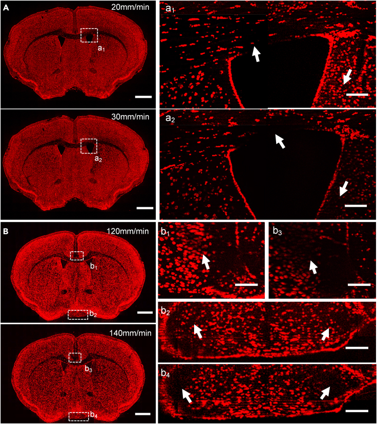 Figure 3