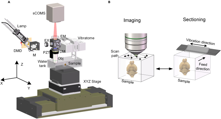 Figure 5