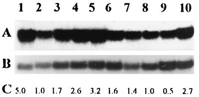 FIG. 3