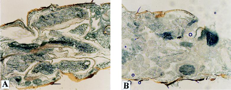 FIG. 8