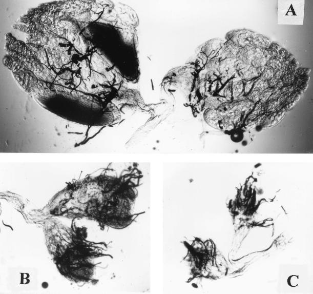 FIG. 9