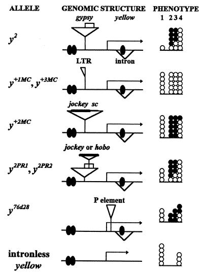 FIG. 10