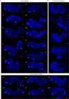 Extended Data Fig. 2