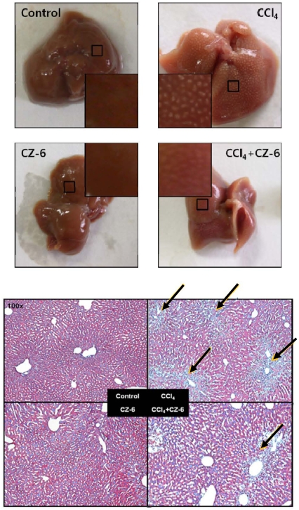 Fig. 6