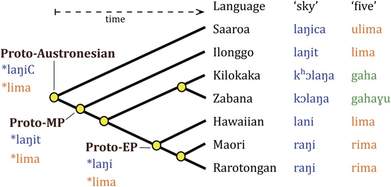 Fig. 1.