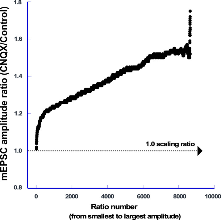 Figure 2—figure supplement 1.