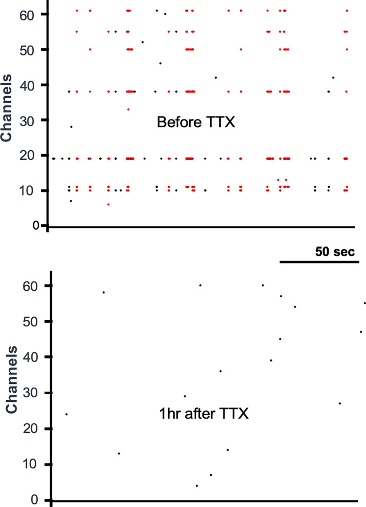 Figure 1—figure supplement 2.