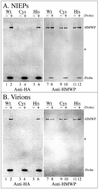 FIG. 6.