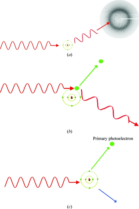 Figure 7