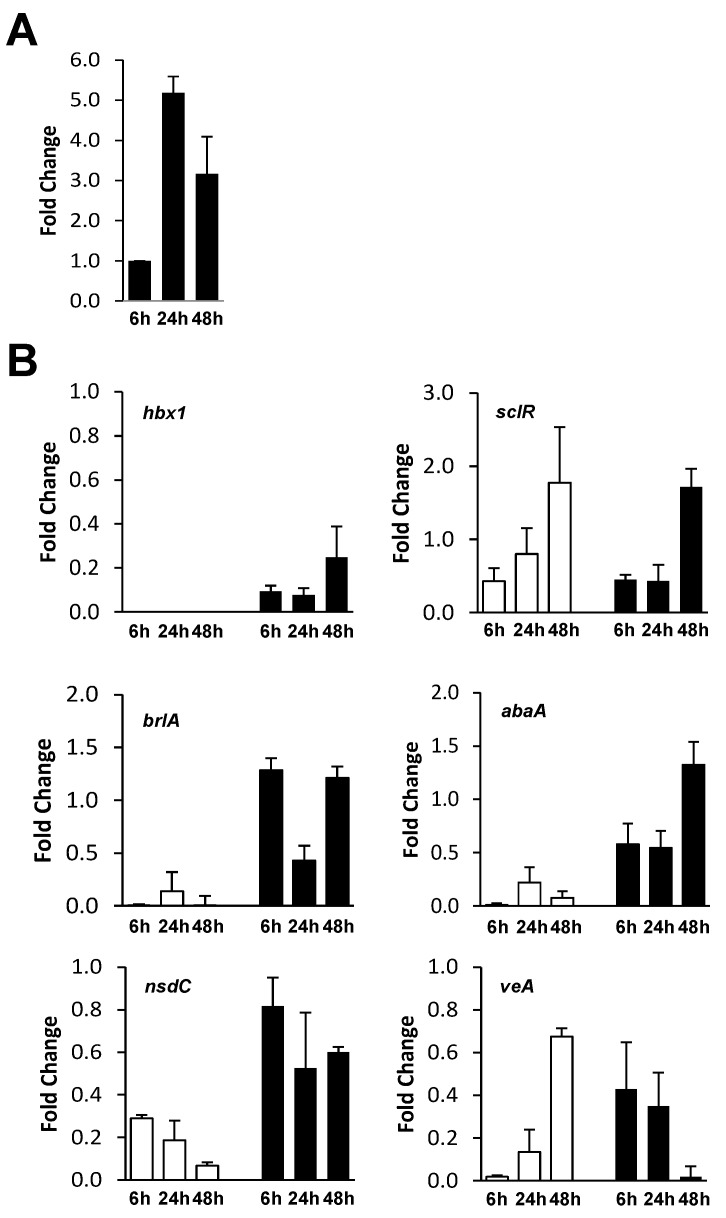 Figure 6