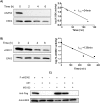 Fig 8