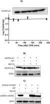 Fig 10