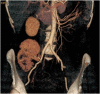 Fig 5