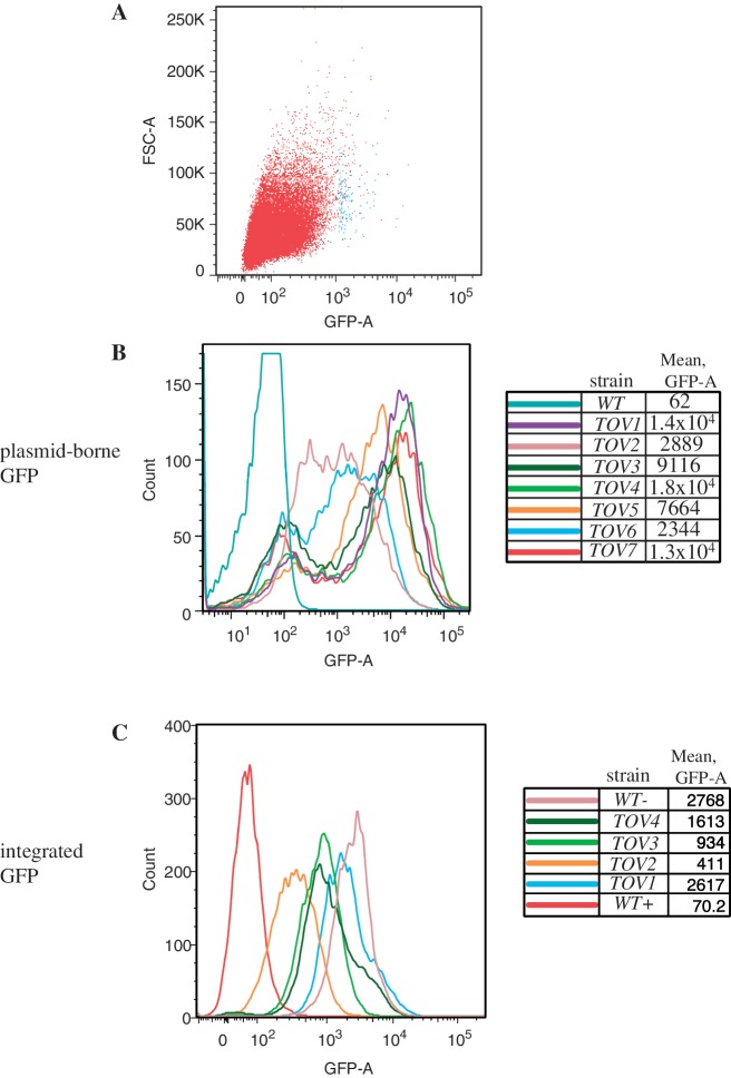 Figure 2.