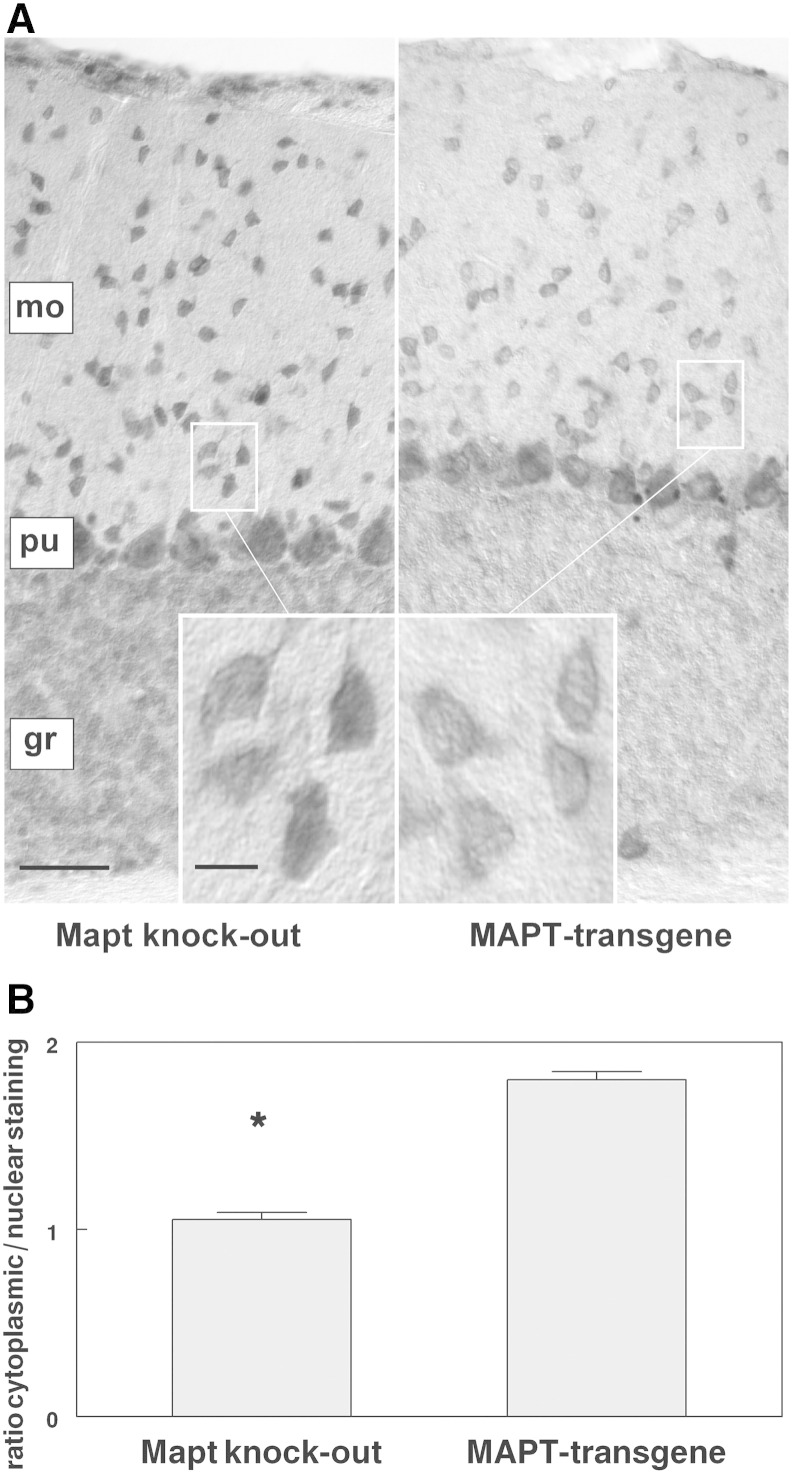 Fig. 5