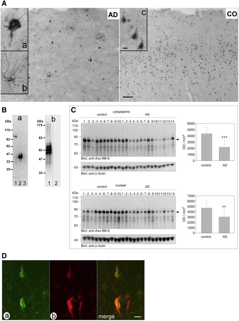 Fig. 4