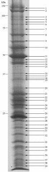 FIG. 5.