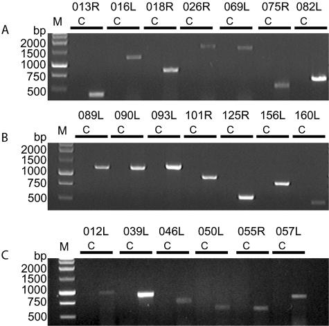 FIG. 6.