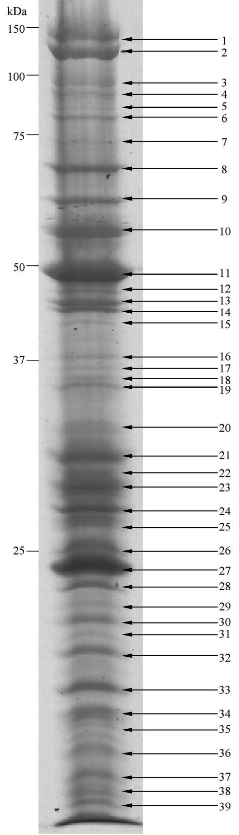 FIG. 5.