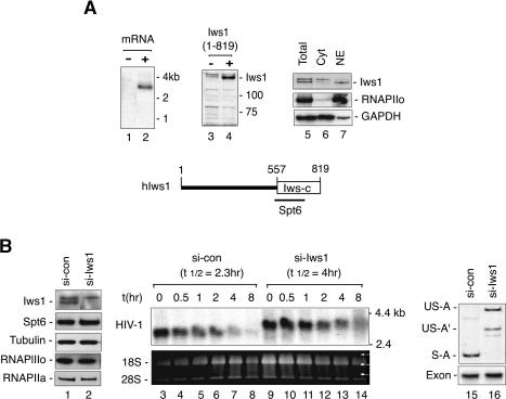 Figure 4.