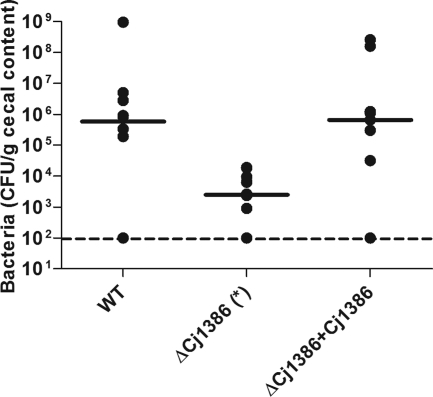 Fig 6