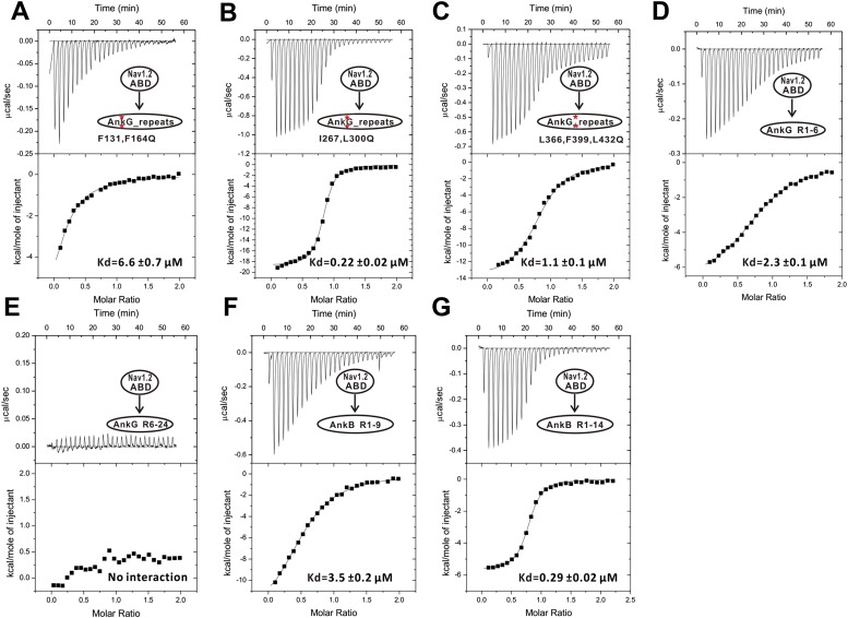 Figure 3—figure supplement 3.