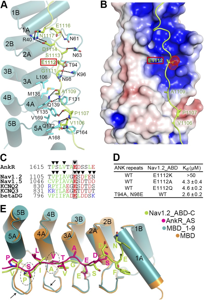 Figure 6.