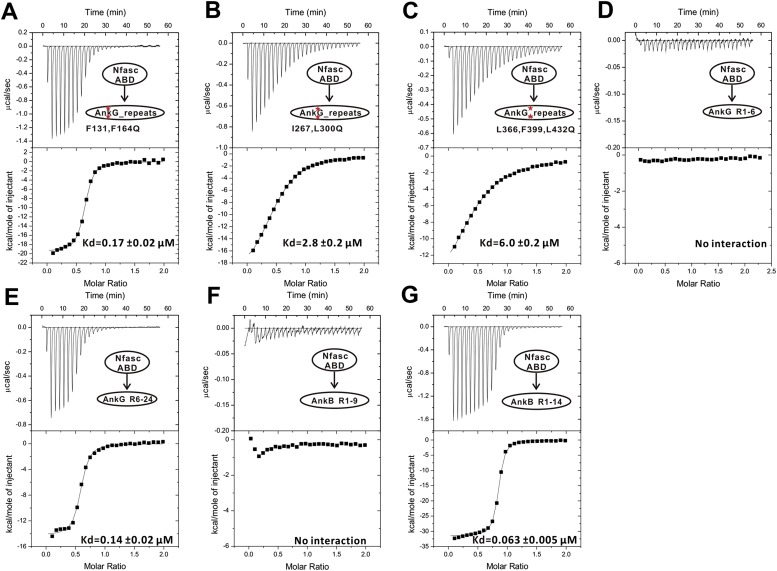 Figure 3—figure supplement 4.