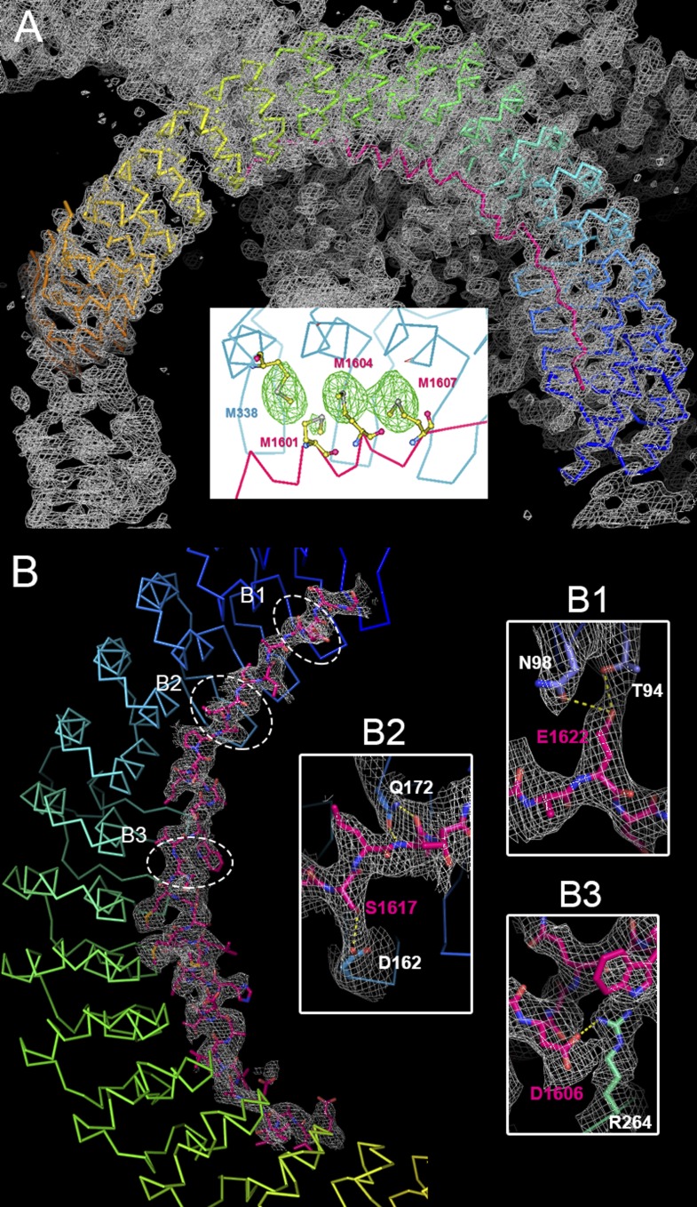 Figure 2—figure supplement 2.