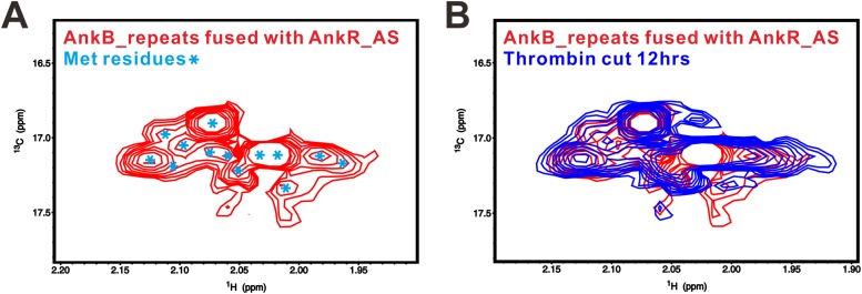 Figure 2—figure supplement 1.