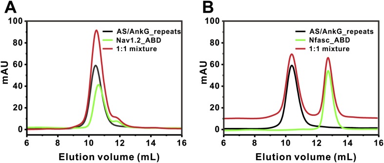 Figure 3—figure supplement 1.