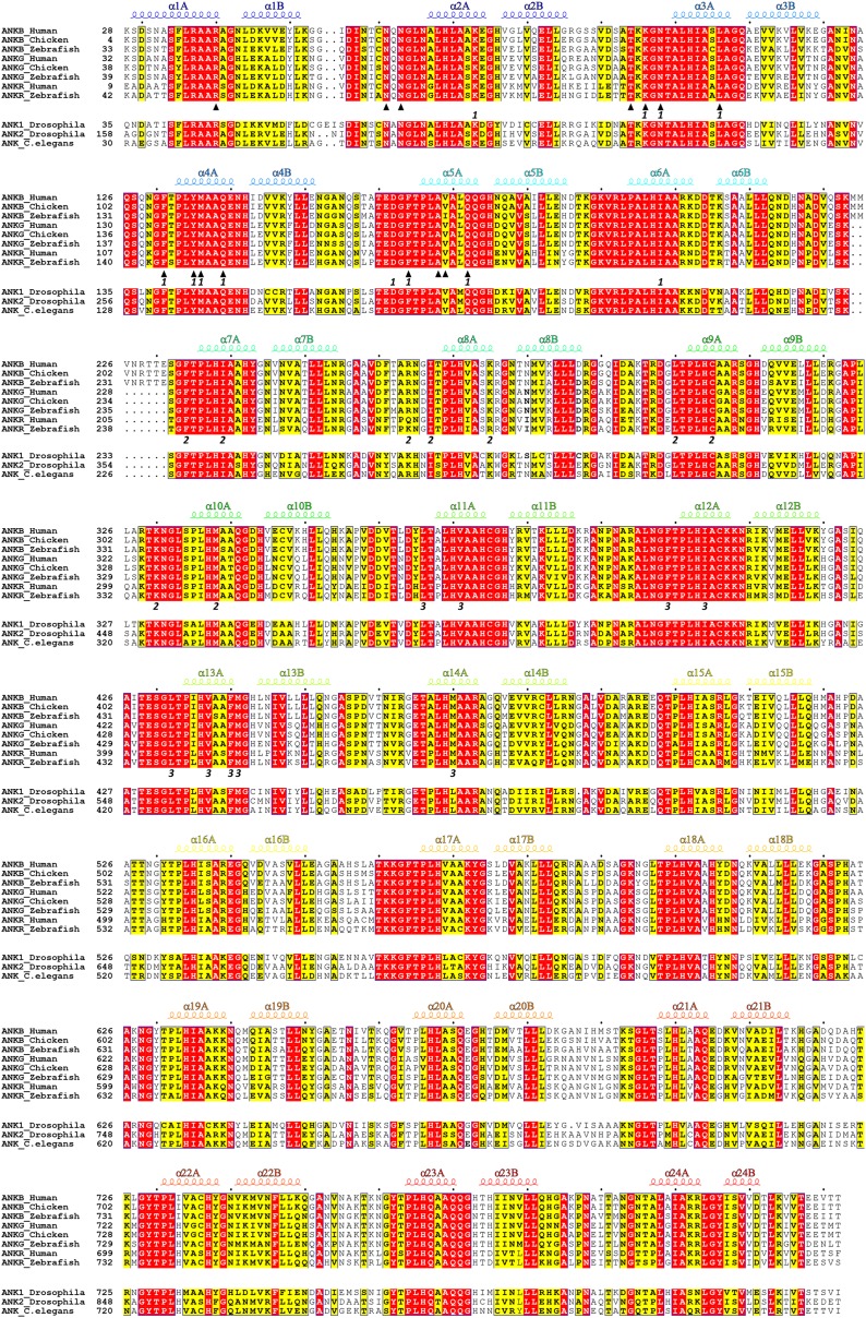 Figure 2—figure supplement 3.