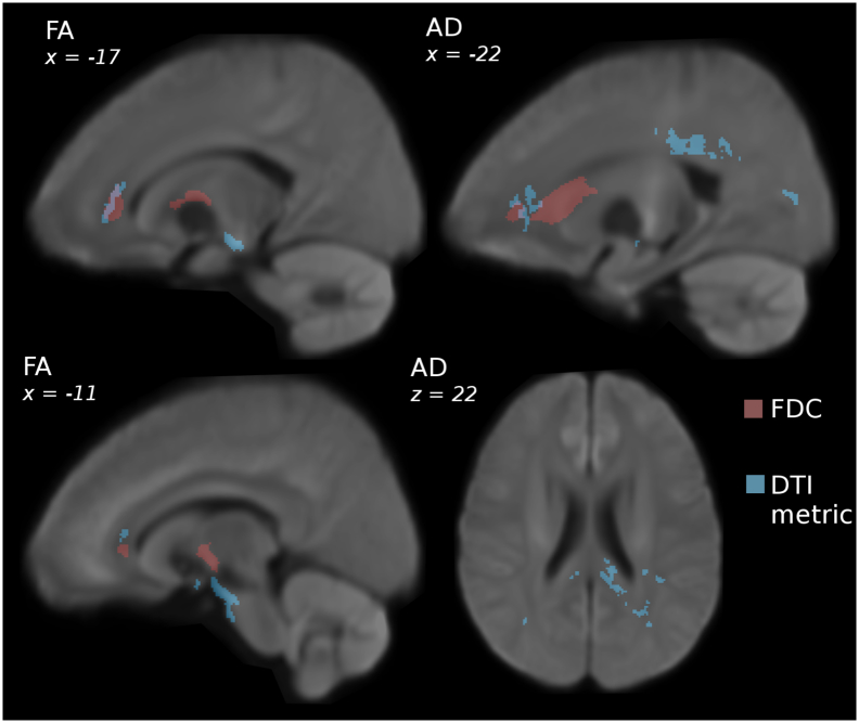 Fig. 5