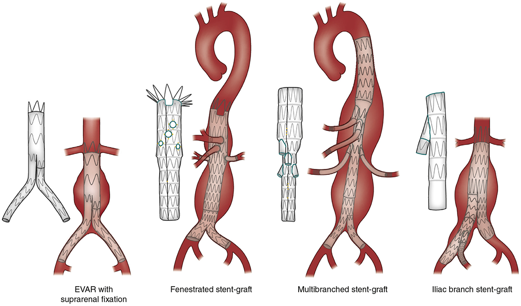 Figure 3 |