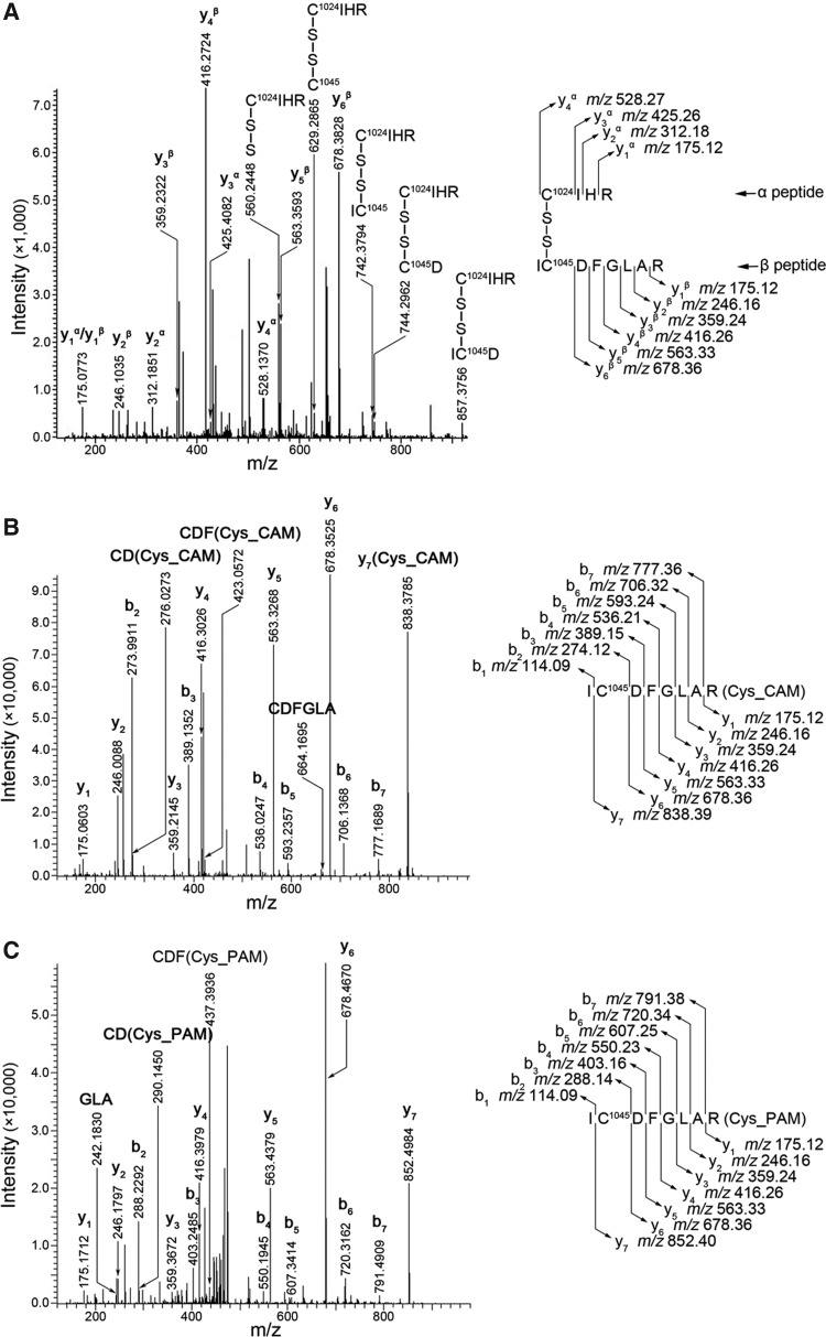 FIG. 6.