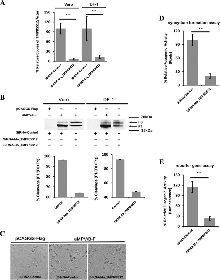 FIG 4