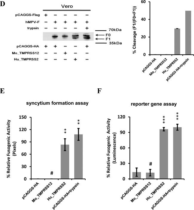 FIG 6