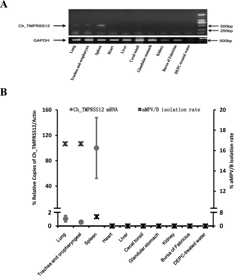 FIG 9