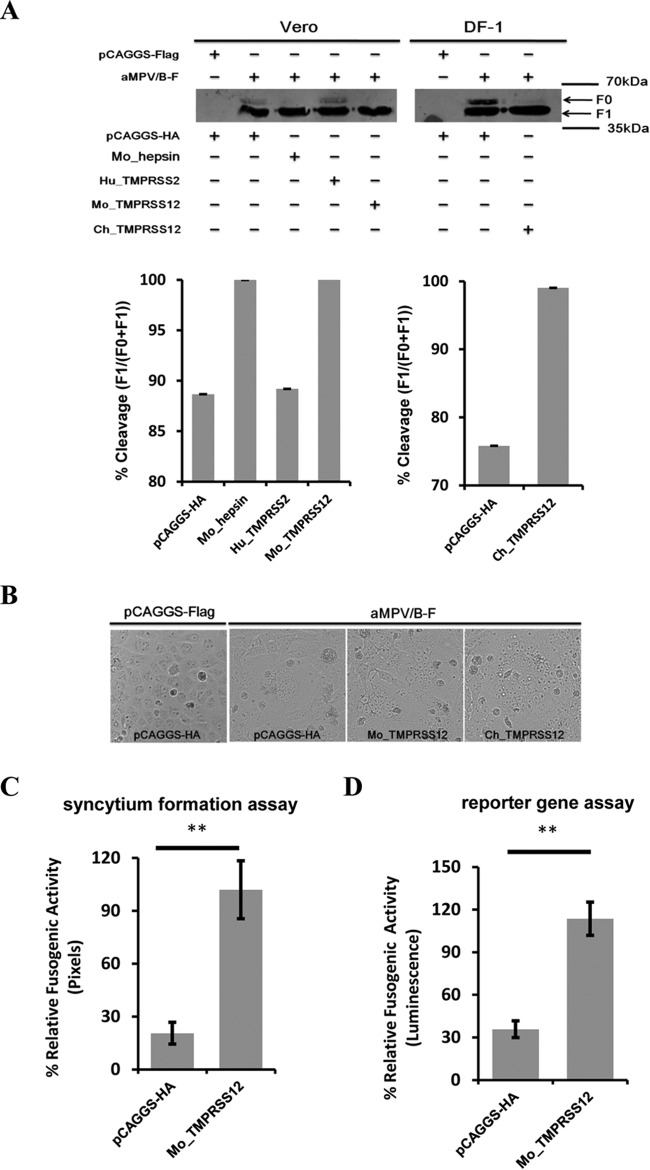 FIG 2