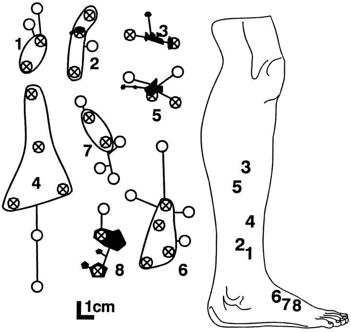 Fig. 5.