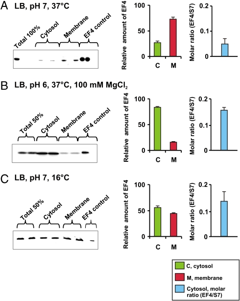 Fig. 2.